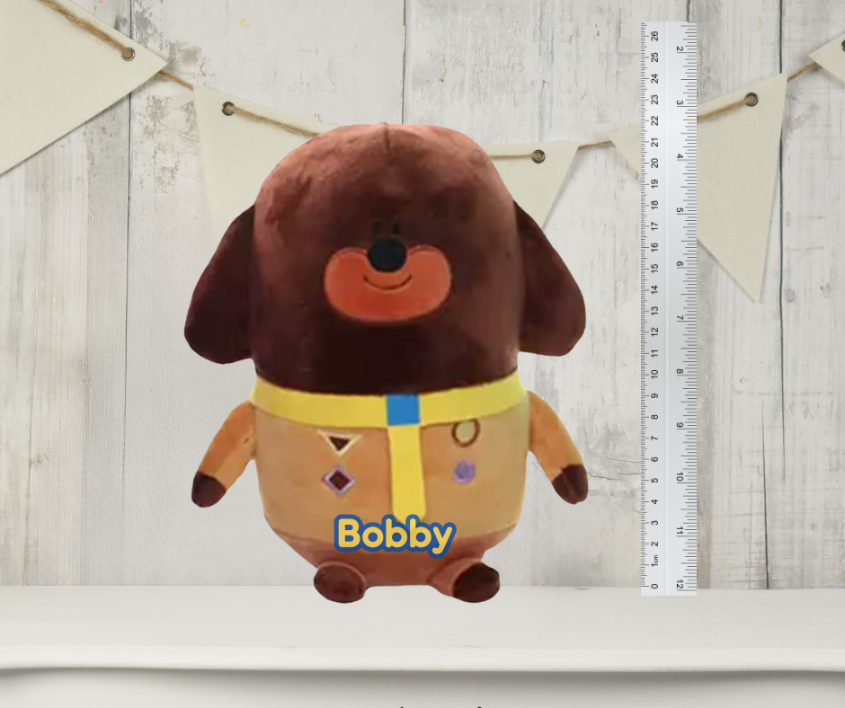 Hey Duggee Book Cushion