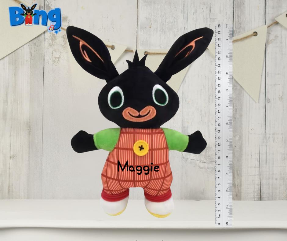Bing personalised kids story time Reading Cushion