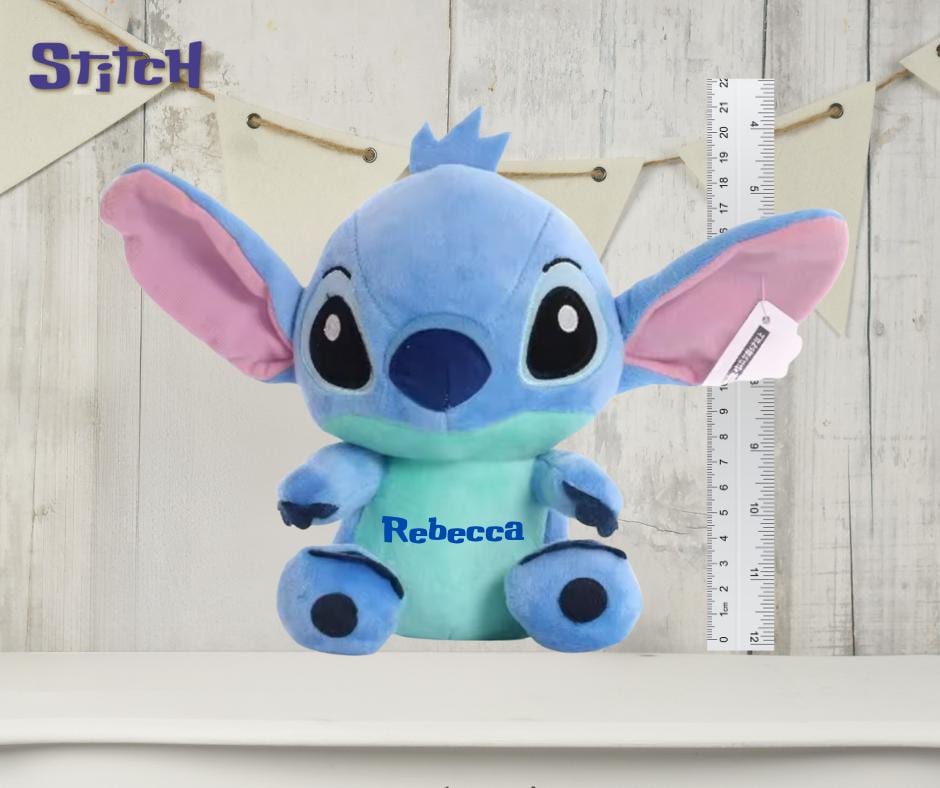 Stitch Reading pocket Cushion