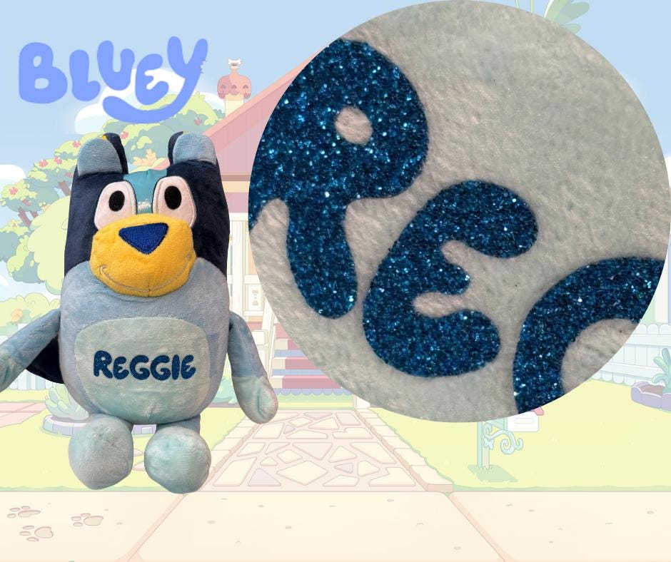 Personalized Bluey Plushie: Custom Name, 20cm