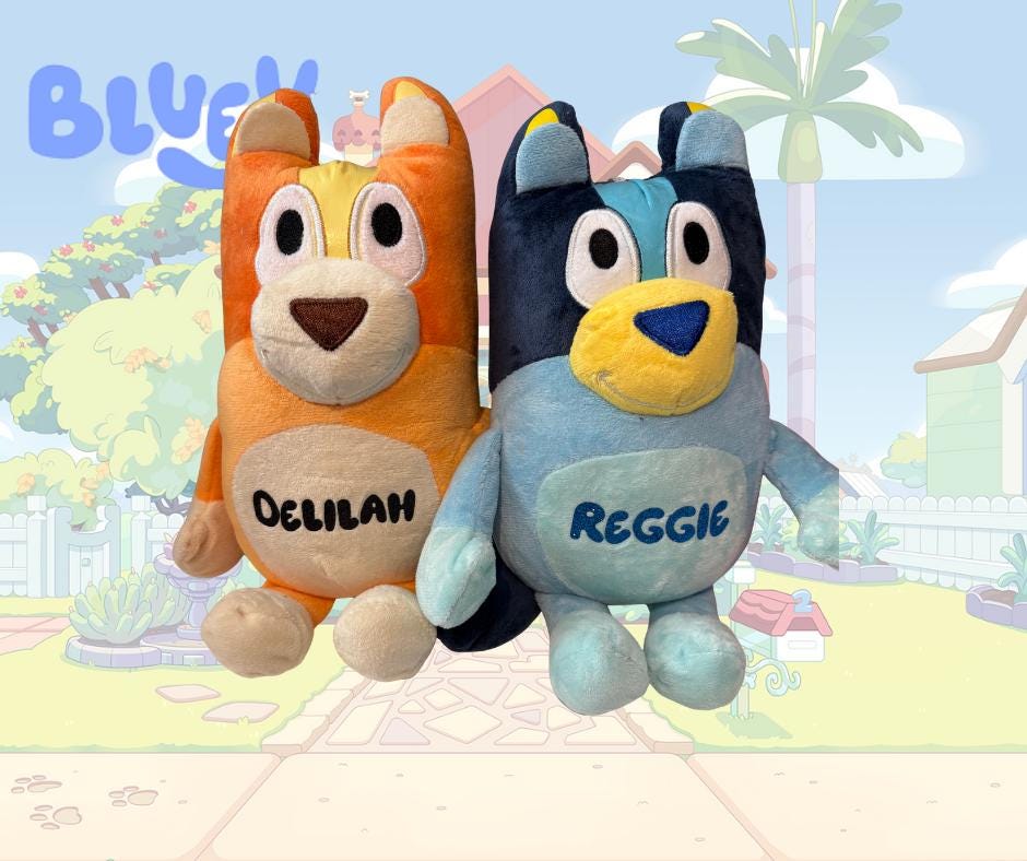 Personalized Bluey Plushie: Custom Name, 20cm