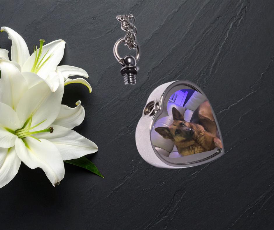 Personalised Pet Ashes Keyring with Custom Photo & Heartfelt Engraving - Memorial Keepsake for Pet Loss Grieving - Gift for Pet Owners