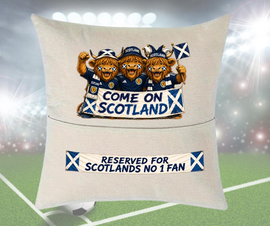 Scotland World Cup supporters cushion, fun gift for fans, Fathers Day, football fan pillow, Scotland fans gift, sports novelty cushion