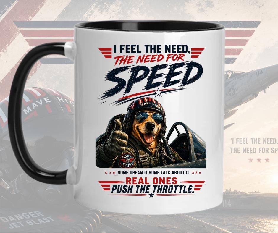 Movie quote mug, Top Gun inspired coffee cup, Need for Speed, aviation lover gift, pilot humor, military style, office mug,