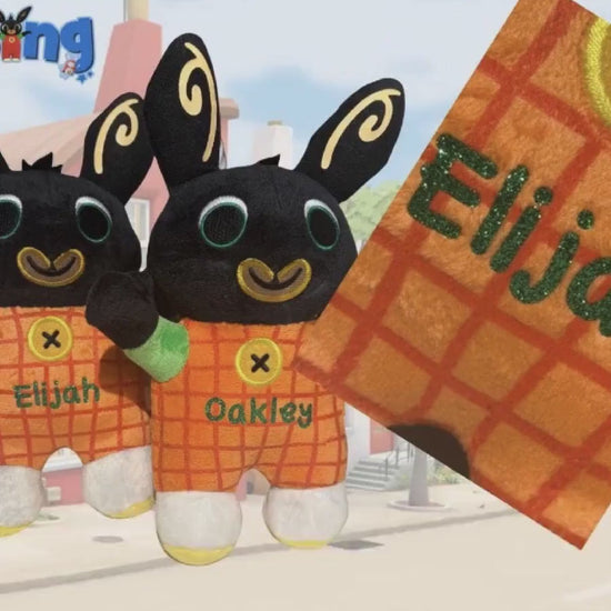 Personalised Bing Plushie - Soft and Cuddly Toy with Custom Name  - 28 cm